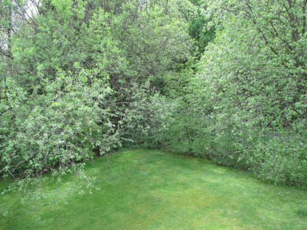 Bach  Ferienwohnung An Der Lay Wohnung 2 מראה חיצוני תמונה